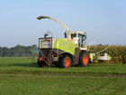 Hakselaar in het mais